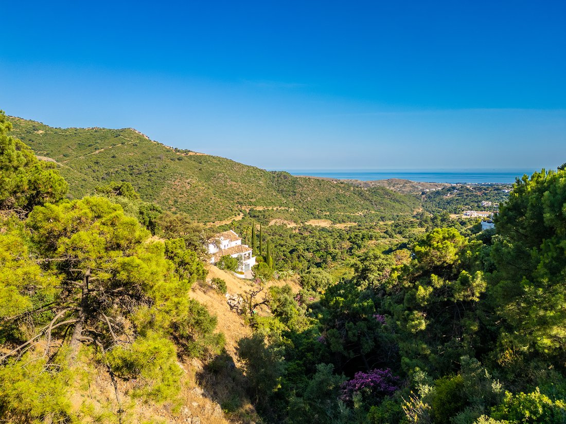Land in La Campana, Andalusia, Spain 3 - 18117565