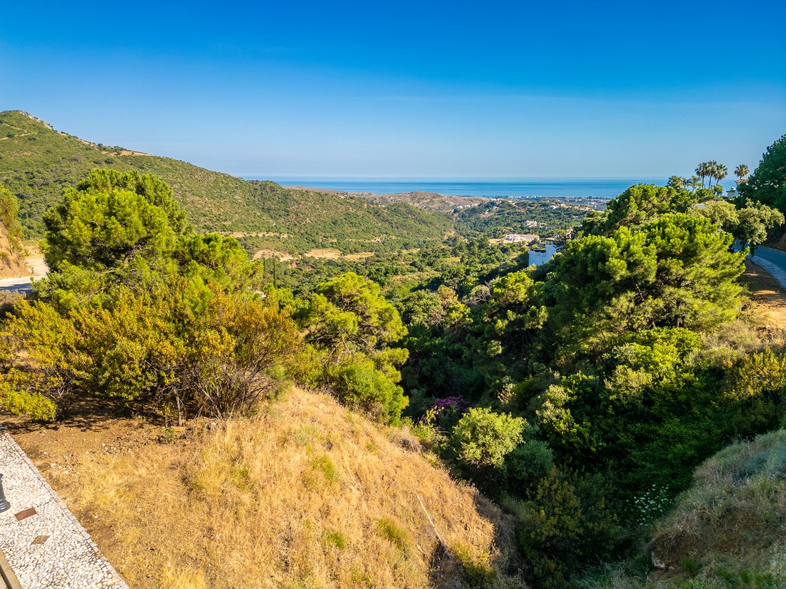 Land in La Campana, Andalusia, Spain 4 - 18117565