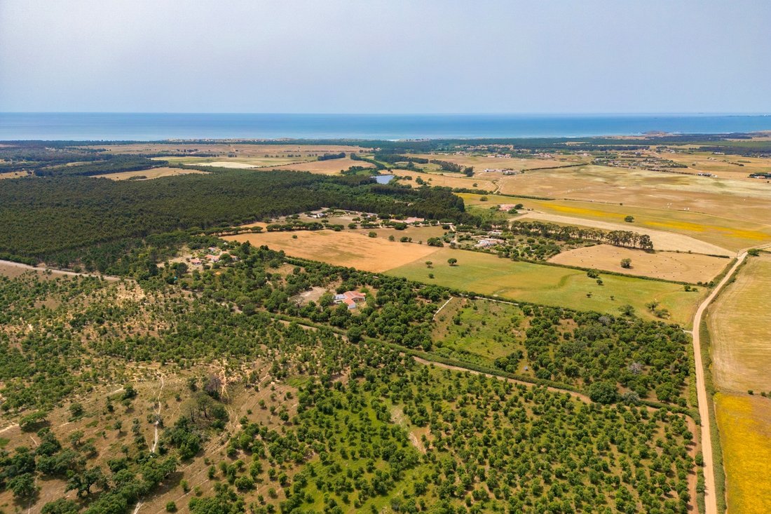 Farm Ranch in Sao Salvador e Santa Maria, Beja District, Portugal 1 - 18117573