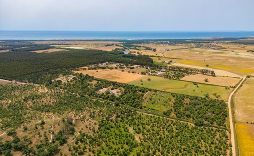 Azienda agricola a Sao Salvador e Santa Maria, Distretto di Beja, Portogallo 1
