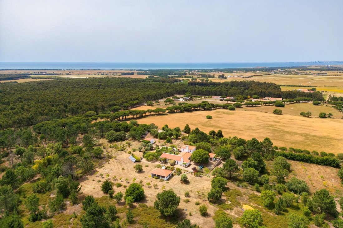 Farm Ranch in Sao Salvador e Santa Maria, Beja District, Portugal 4 - 18117573