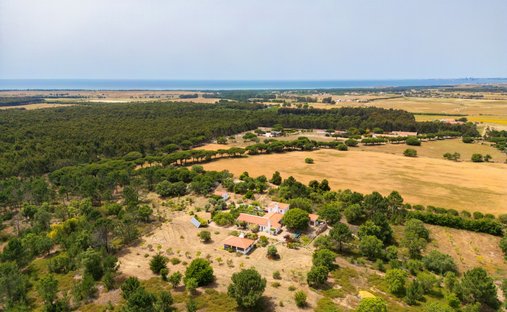Farm Ranch in Sao Salvador e Santa Maria, Beja District, Portugal 1