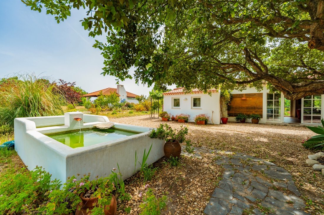 Farm Ranch in Sao Salvador e Santa Maria, Beja District, Portugal 1 - 18117573
