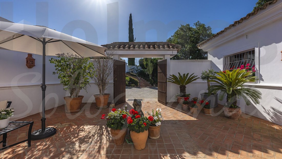 Villa in Sotogrande, San Roque, Andalusia 5 - 18118738