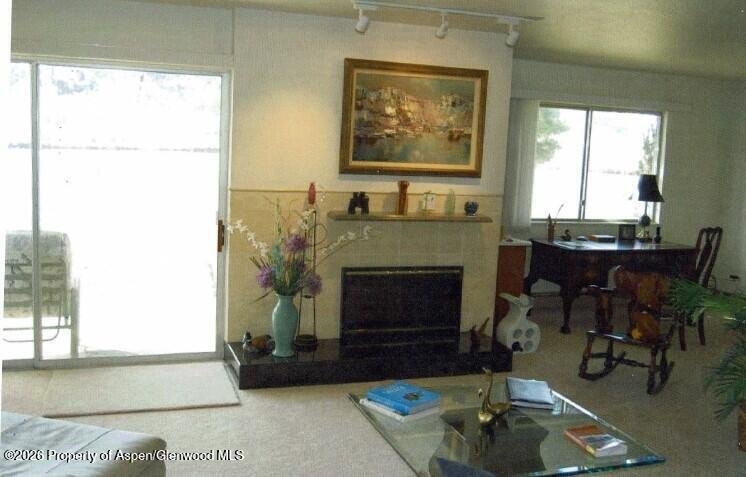 Condo in Carbondale, Colorado, United States 4 - 18118854