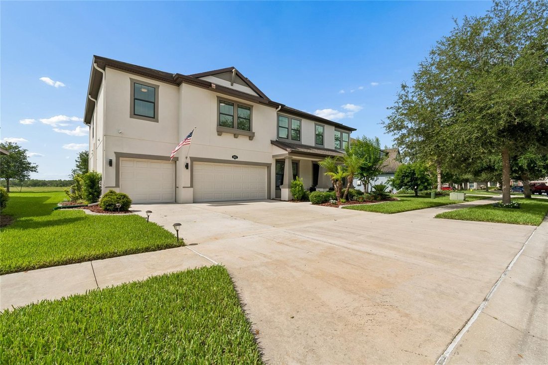 House in Tampa, Florida, United States 3 - 18118862