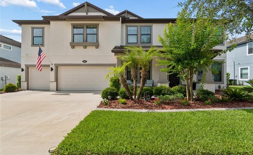 Maison à Tampa, Floride, États-Unis 1