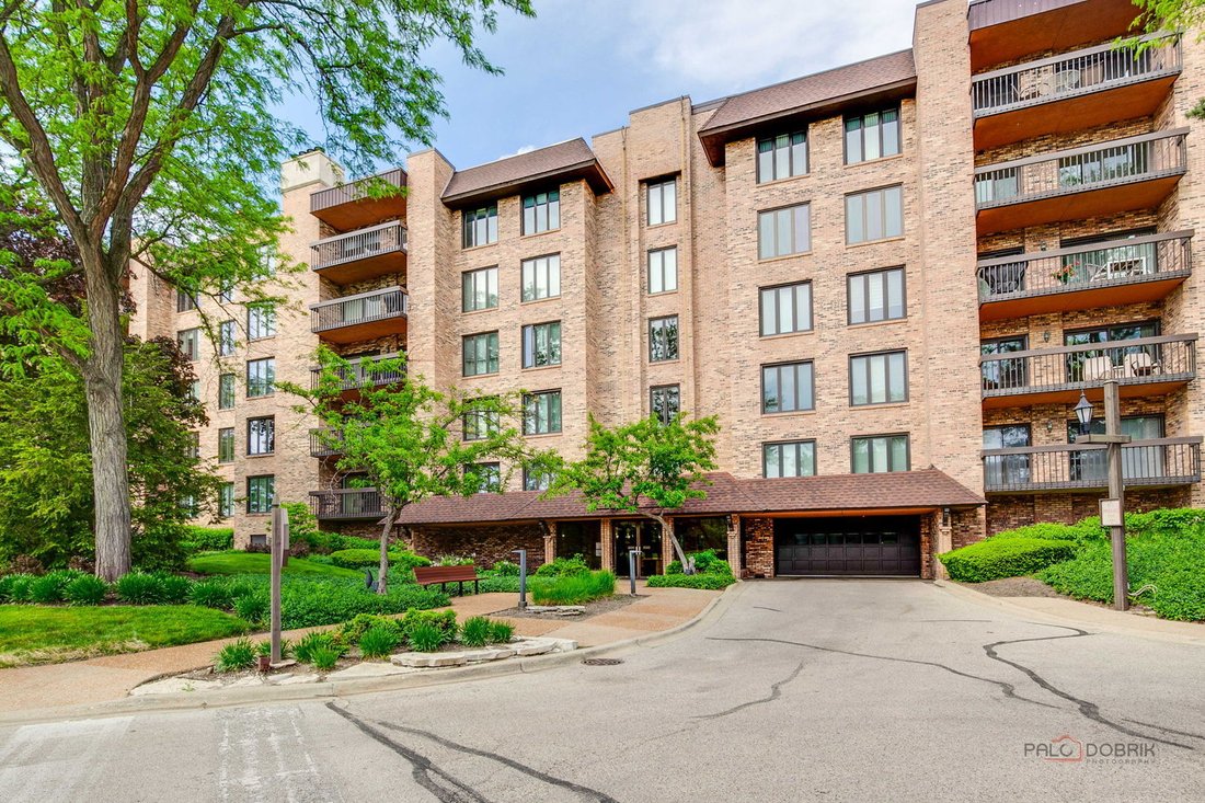 Condo in Northbrook, Illinois, United States 1 - 18119227