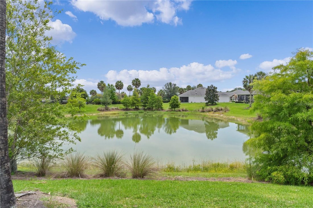 House in The Villages, Florida, United States 1 - 18122663
