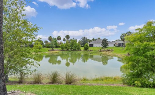 House in The Villages, Florida, United States 1
