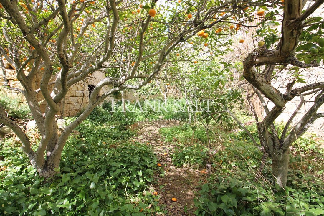 House in Siggiewi, Malta 3 - 13864436