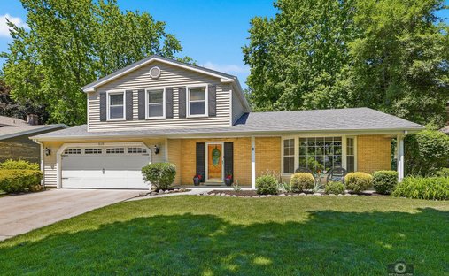 House in Naperville, Illinois, United States 1