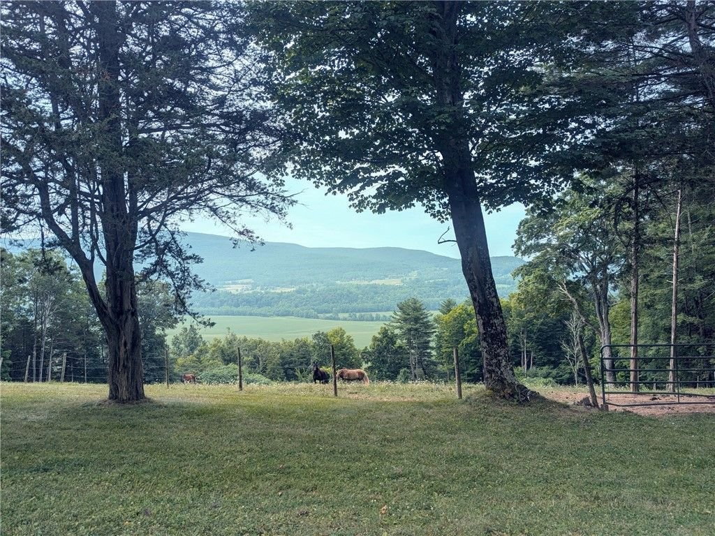 House in Middleburgh, New York, United States 3 - 18119574
