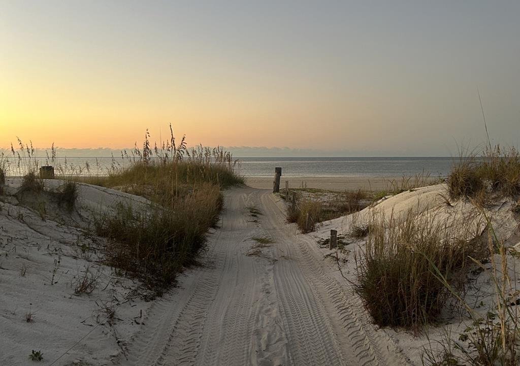 House in Port St. Joe, Florida, United States 4 - 17484412