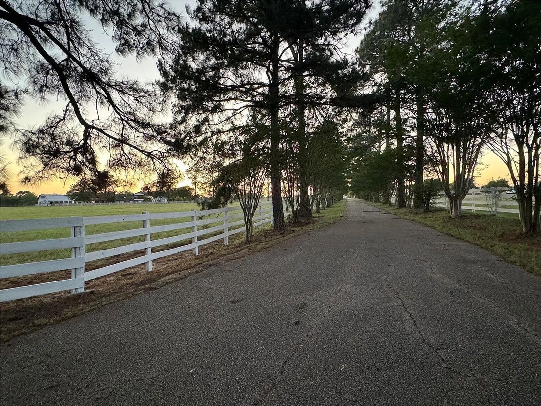 House in Smithville, Texas, United States 3 - 16589240