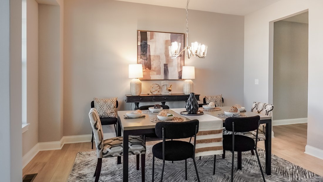 House in Aurora, Illinois, United States 3 - 16803781