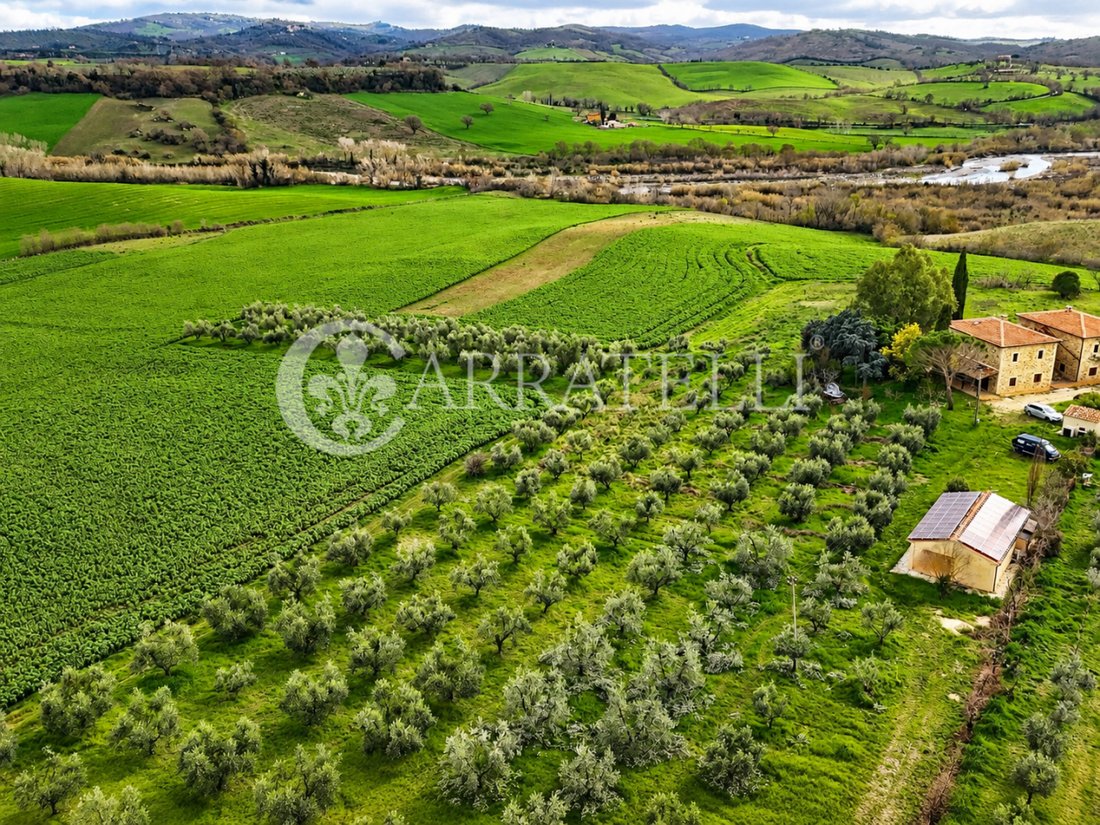 Country House in Manciano, Tuscany, Italy 3 - 17909116