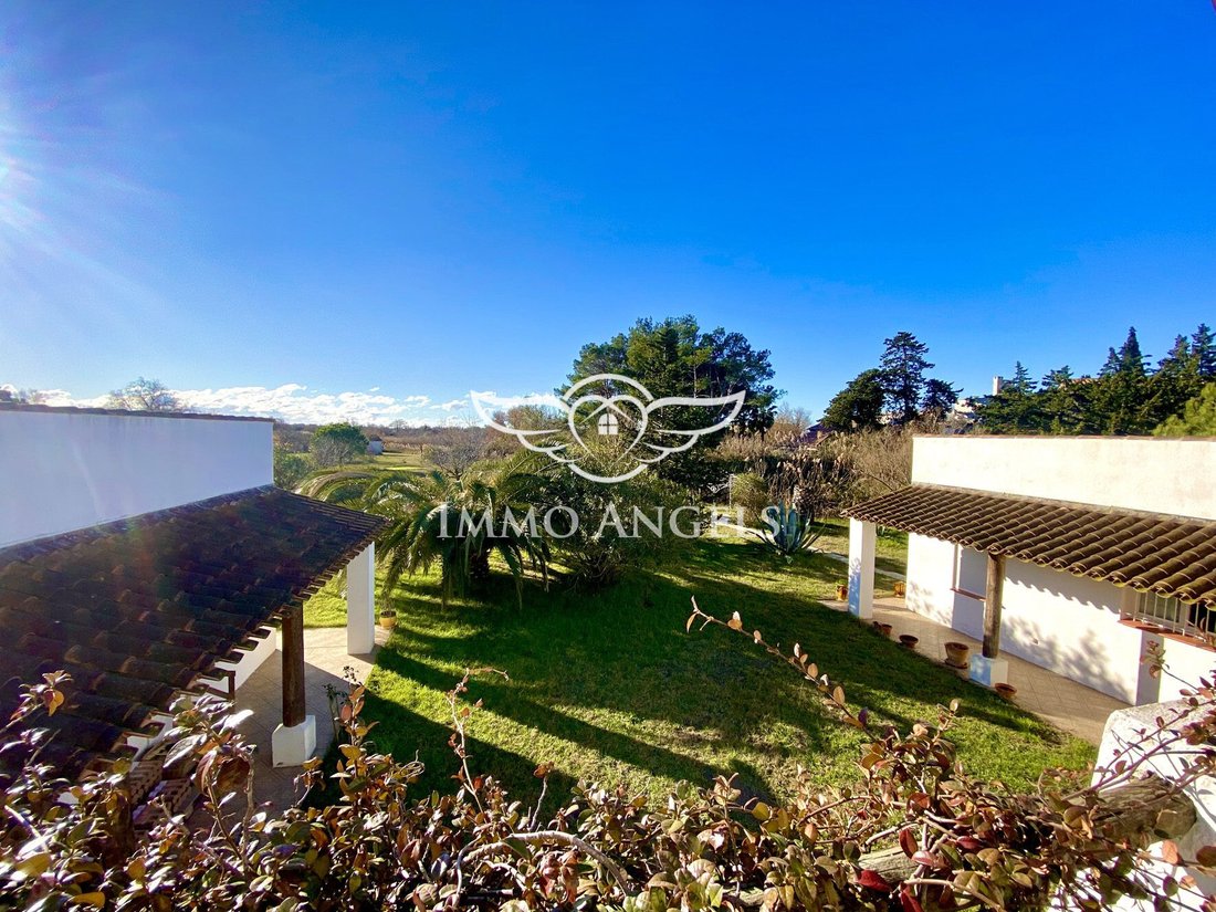 Country House in Saintes-Maries-de-la-Mer, Provence-Alpes-Côte d'Azur, France 2 - 18124676