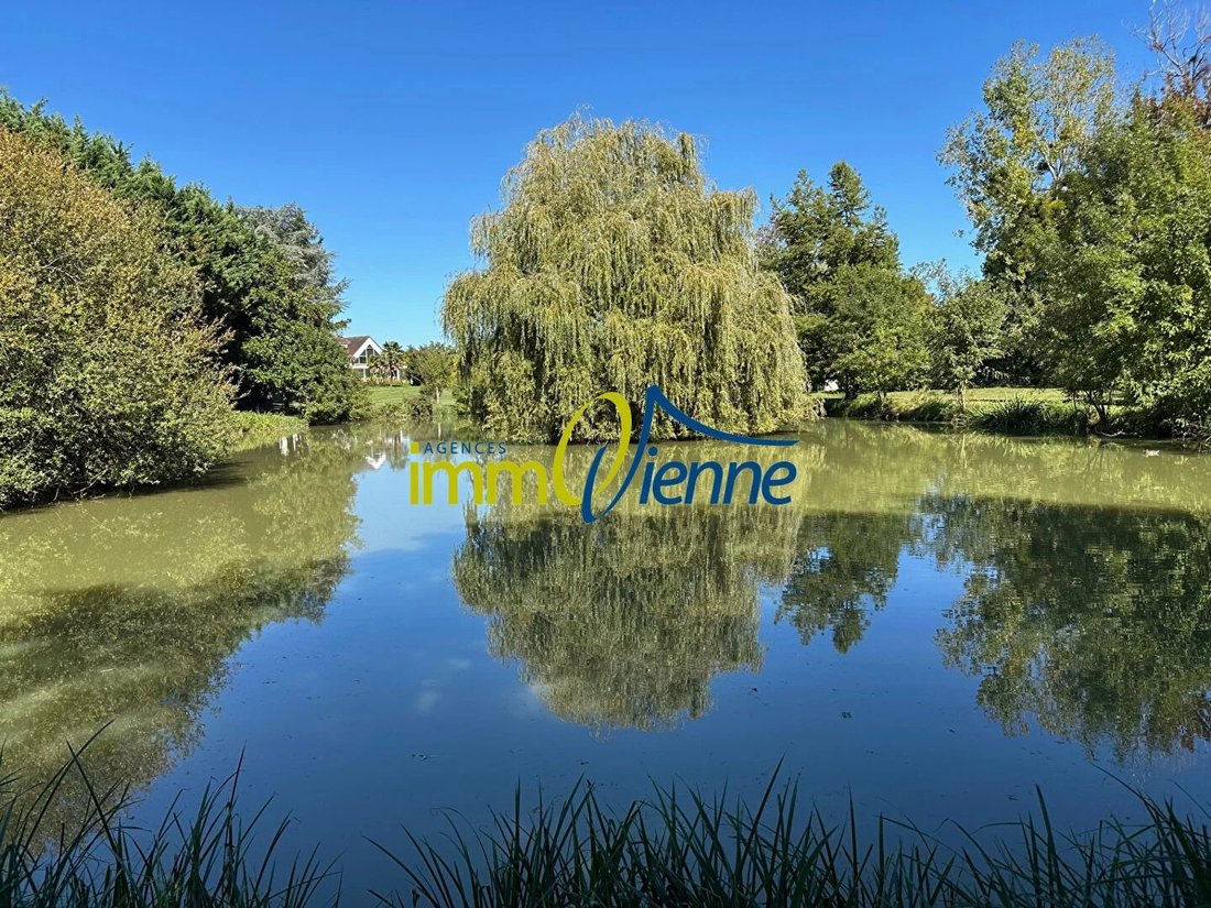 Estate in Nieuil-l'Espoir, Nouvelle-Aquitaine, France 3 - 18119787