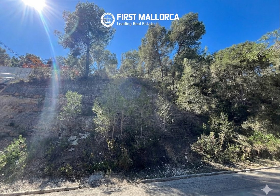 Terreno a Costa d'en Blanes, Calvià, Isole Baleari 5 - 17488565