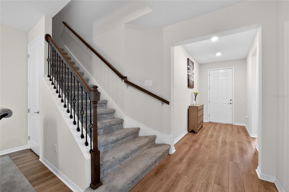House in Tampa, Florida, United States 3 - 18122677