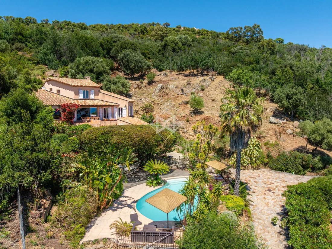Villa in Sud Ouest, Bormes-les-Mimosas, France 2 - 18120323