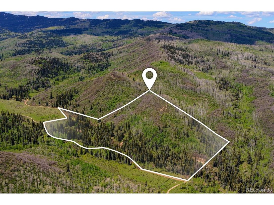 Farm Ranch in New Castle, Colorado, United States 5 - 18121799