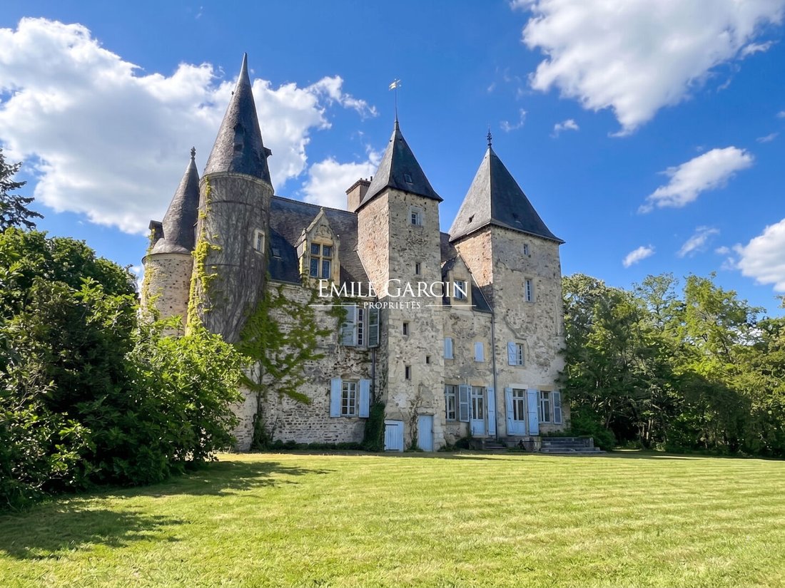 Villa in Henri Sellier-Aujonnière, Vierzon, France 1 - 17856194