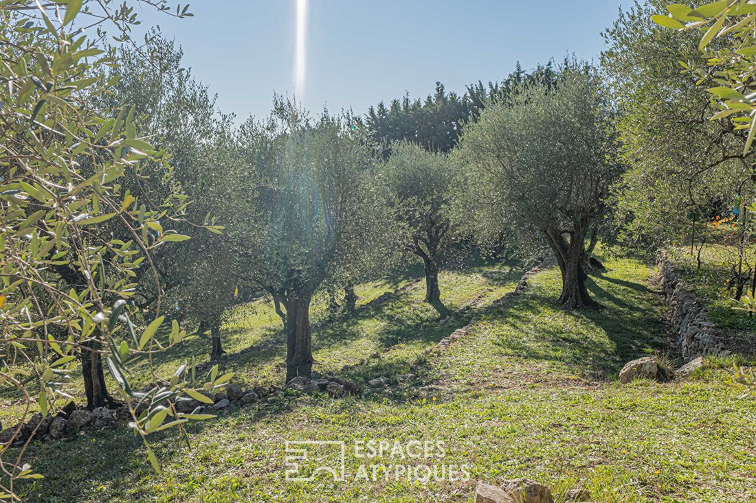 Villa in Cabris, Provence-Alpes-Côte d'Azur, France 3 - 18124040