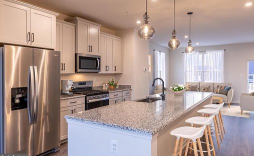 House in Ellicott City, Maryland, United States 1