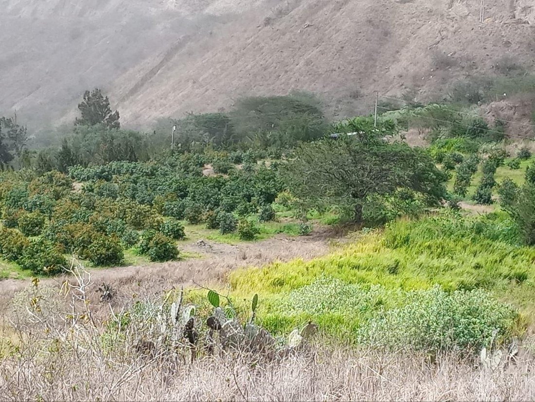 Land in Ibarra, Imbabura, Ecuador 1 - 18119848