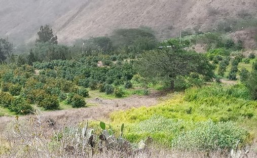 Land in Ibarra, Imbabura, Ecuador 1