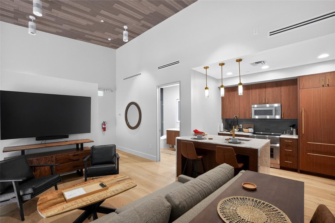 Condo in Austin, Texas, United States 4 - 18122901