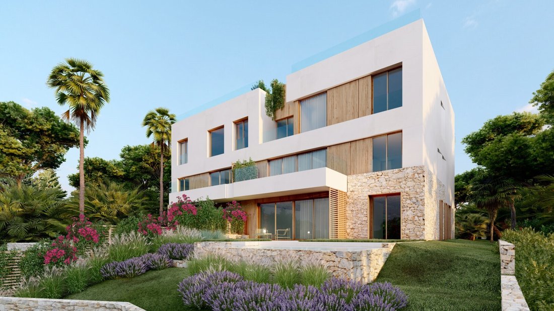 Apartment in Cala Llenya, Santa Eularia des Riu, Balearic Islands 2 - 16613203