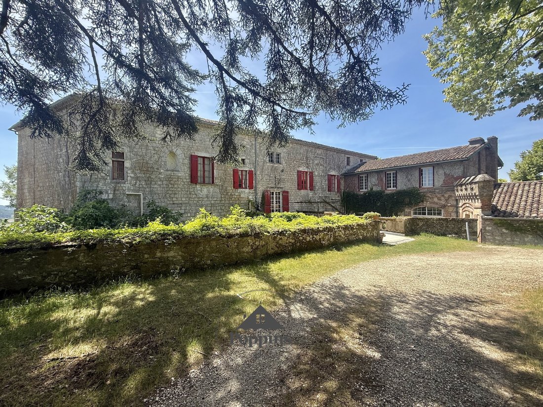 Castle in Penne-d'Agenais, Nouvelle-Aquitaine, France 3 - 18122726