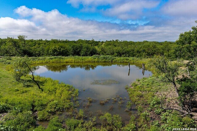 Farm Ranch in Castroville, Texas, United States 4 - 18123428