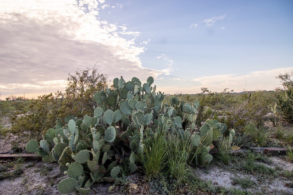 House in Fort Stockton, Texas, United States 5 - 18121333