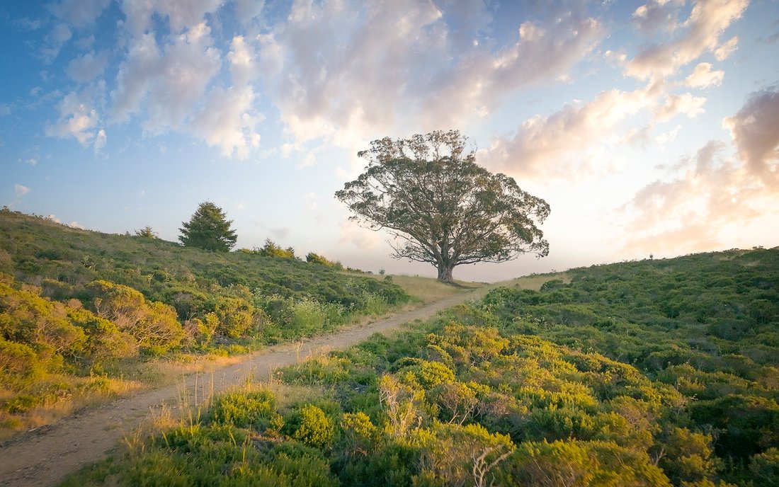 House in Stinson Beach, California, United States 2 - 18120472