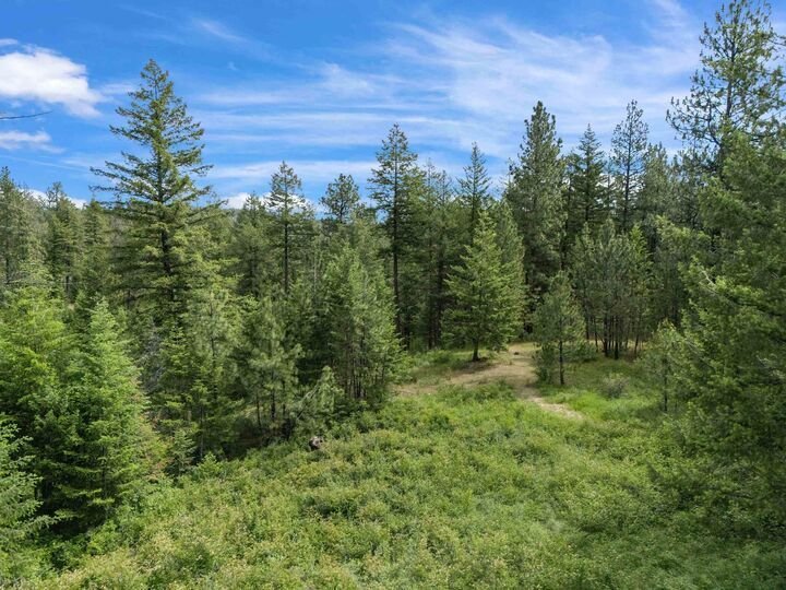Land in Spokane, Washington, United States 5 - 18124562