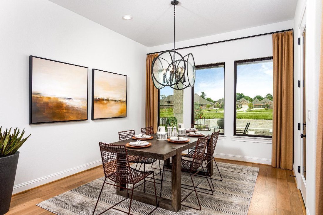 House in Houston, Texas, United States 5 - 18122486