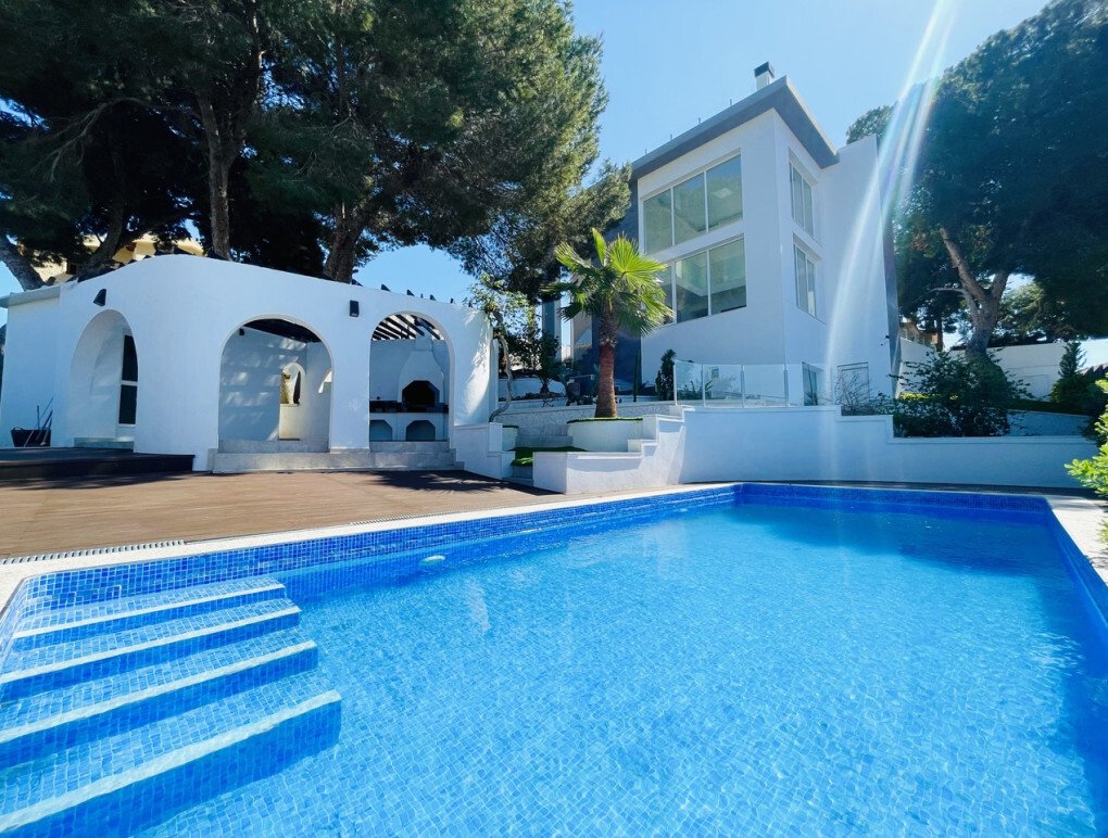 Villa in Torrevieja, Valencian Community, Spain 2 - 18119817