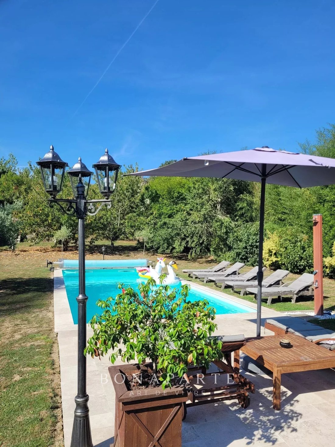 Estate in Les Rosiers-sur-Loire, Gennes-Val-de-Loire, France 2 - 17472075