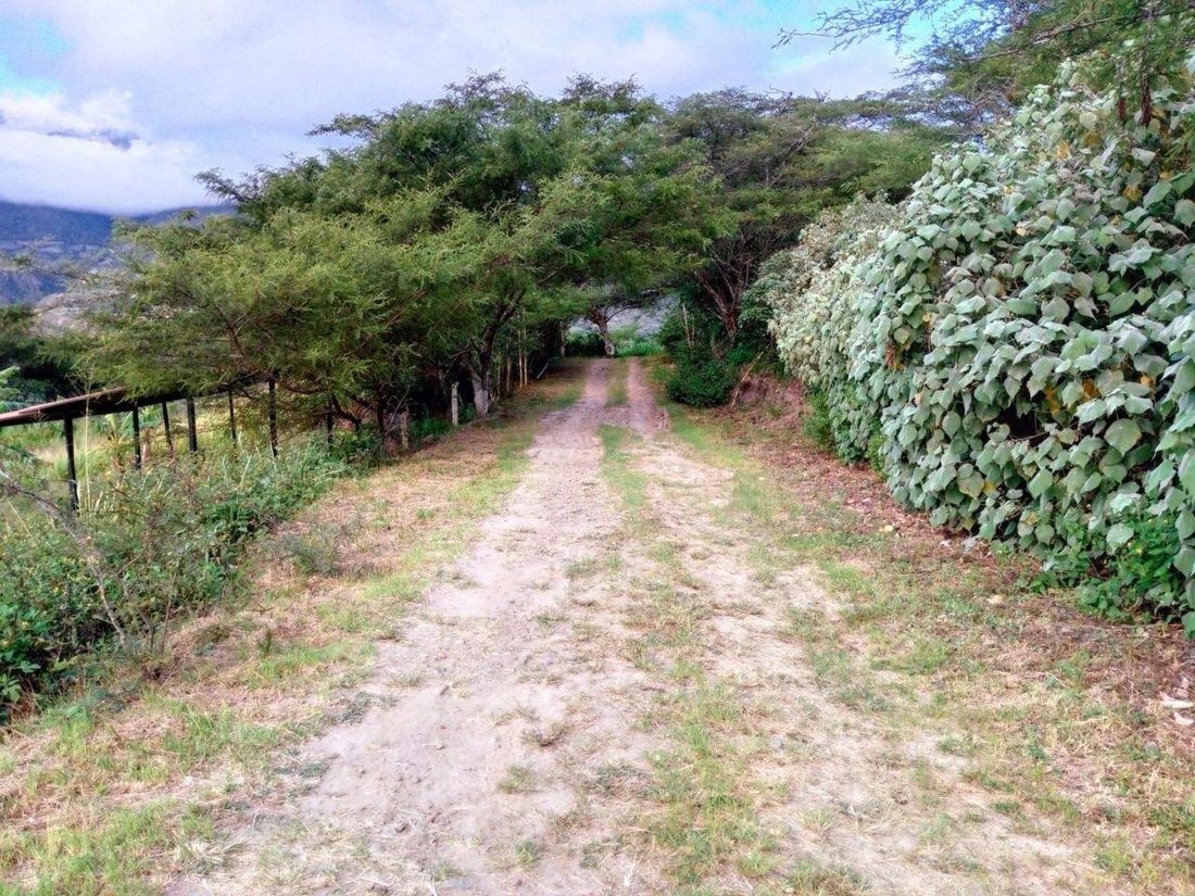 Land in Ibarra, Imbabura, Ecuador 4 - 18119848
