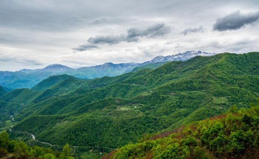 Land in Kolašin, Gemeinde Kolašin, Montenegro 1