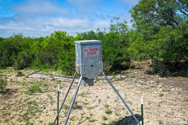 Farm Ranch in Castroville, Texas, United States 5 - 18123428