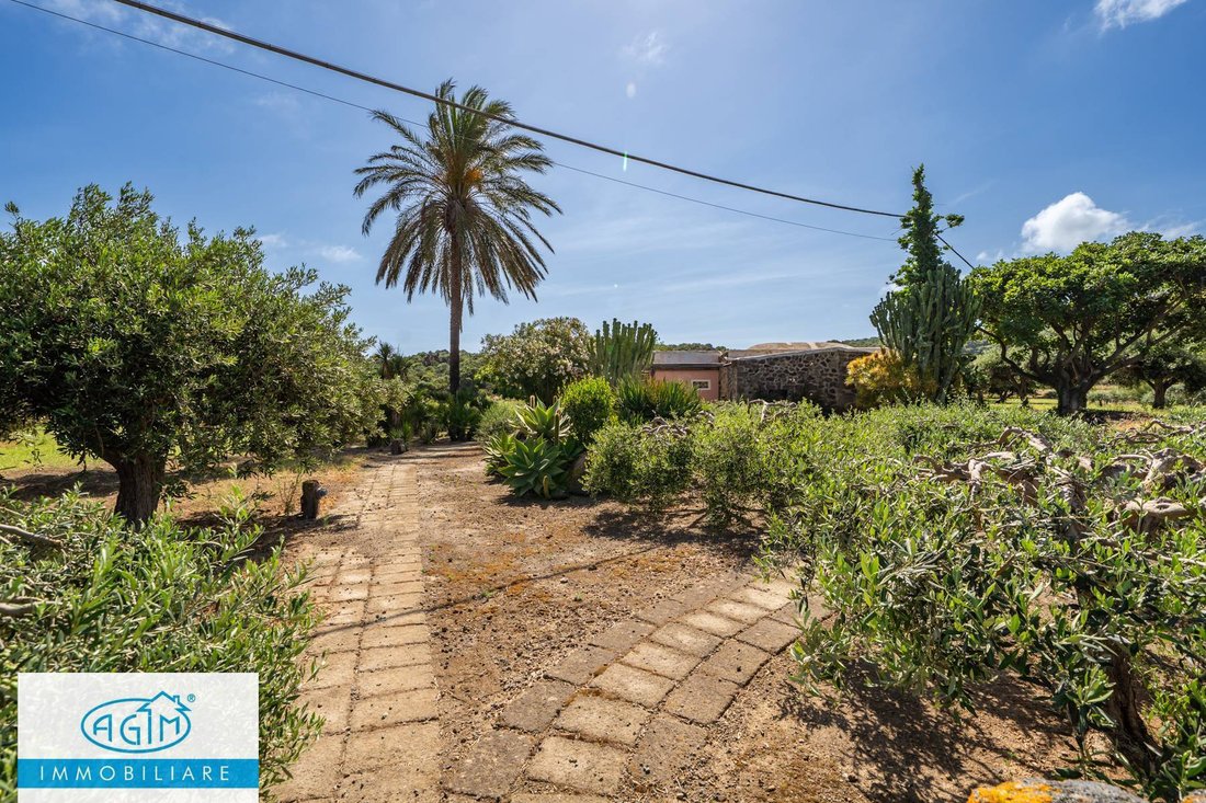 Villa in Pantelleria, Sicily, Italy 4 - 17732036