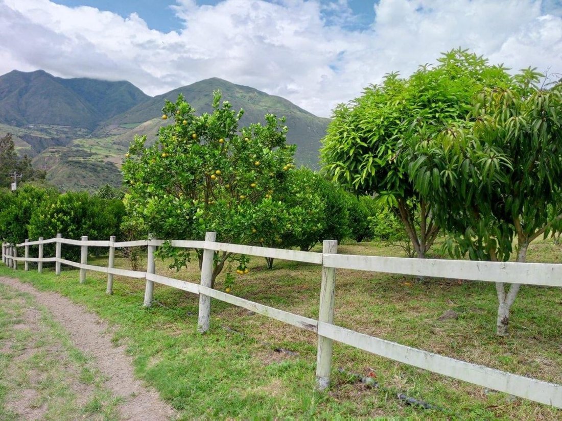 Land in Ibarra, Imbabura, Ecuador 2 - 18119848