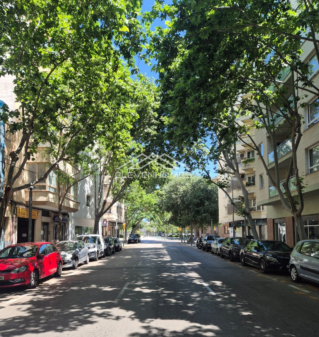 Land in Palma, Balearic Islands, Spain 2 - 18121540