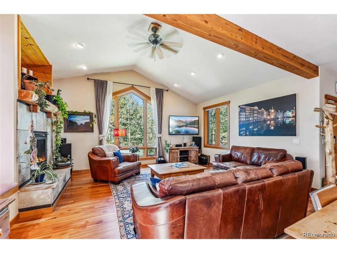 House in Alma, Colorado, United States 4 - 18121908