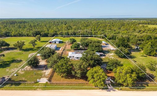 Farm Ranch in Dunnellon, Florida, United States 1